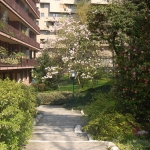 Studio NiR srl -   ingresso al giardino