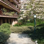 Studio NiR srl -  il Giardino